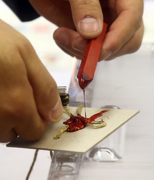 6 adımda oy kullanma rehberi