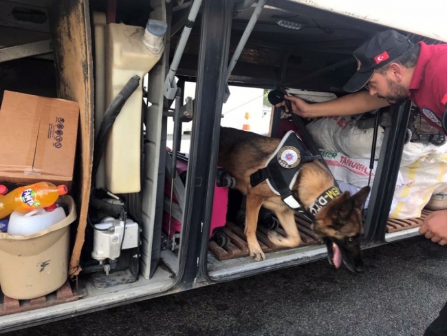 İstanbul'da 39 ilçede 'Kurt Kapanı' operasyonu