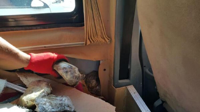 Van'da 55 kilogram uyuşturucu madde ele geçirildi