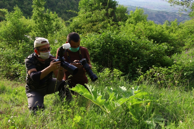188 kelebek türünü 6 yılda fotoğraflayıp kitap haline getirdiler