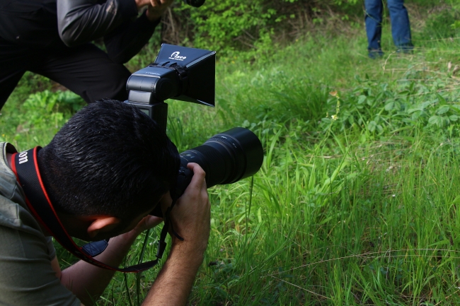 188 kelebek türünü 6 yılda fotoğraflayıp kitap haline getirdiler