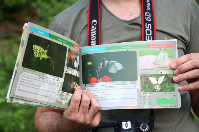 188 kelebek türünü 6 yılda fotoğraflayıp kitap haline getirdiler
