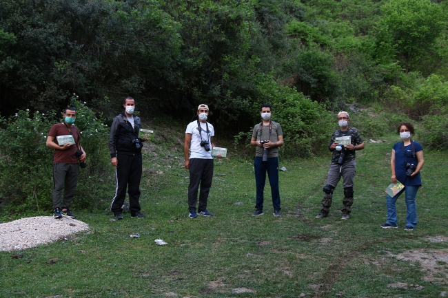 188 kelebek türünü 6 yılda fotoğraflayıp kitap haline getirdiler