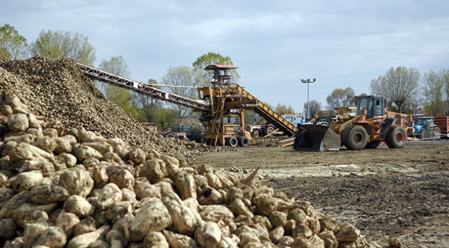 Çiftçilerin zorlu pancar mesaisi devam ediyor
