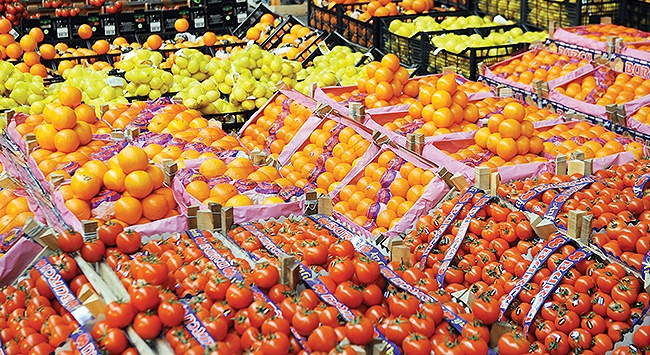 Türkiye yurt dışına en çok domates sattı
