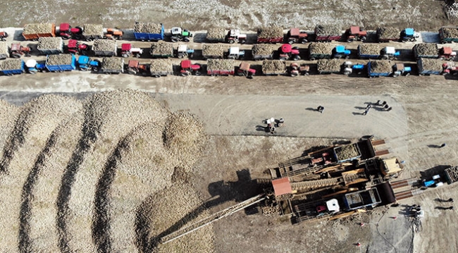 Çiftçilerin zorlu pancar mesaisi devam ediyor