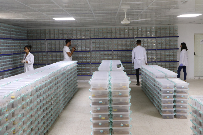 Dünyanın en pahalı sıvısı Şanlıurfa'da: Litresi 10 milyon dolar