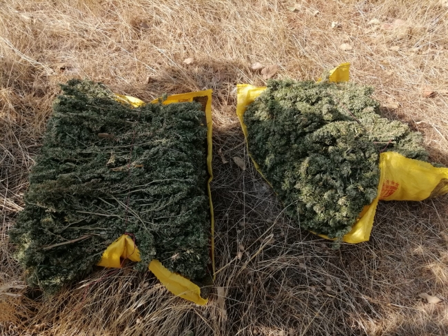 Diyarbakır'da terörün finans kaynağına darbe