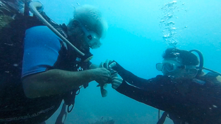 Misinaya takılan lagos kurtarıldı