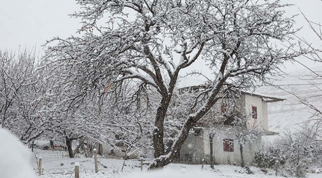 Malatya'da kar yağışı etkili oldu