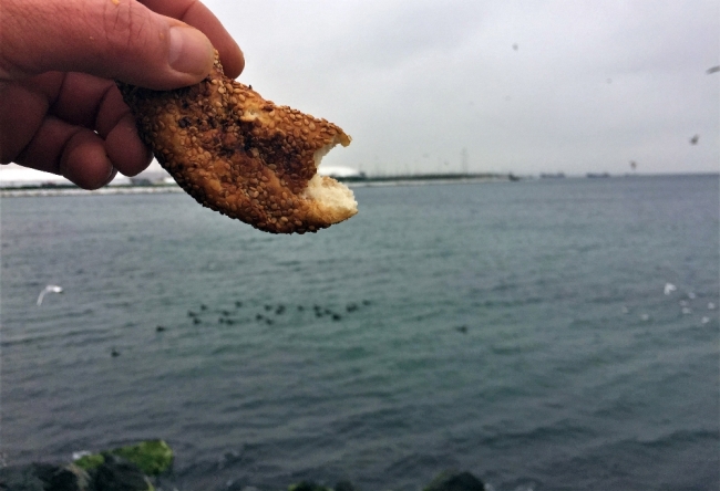 Bedensel engelli "Martıcı baba"nın hayvan sevgisi