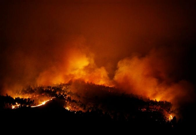 Portekiz'de durdurulamayan orman yangını 57 can aldı