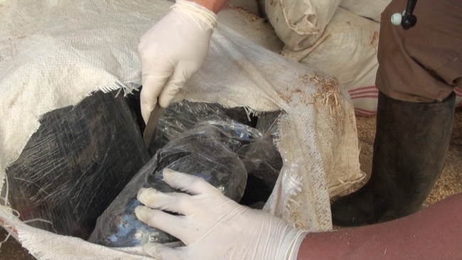 Diyarbakır'da 490 kilogram uyuşturucu ele geçirildi