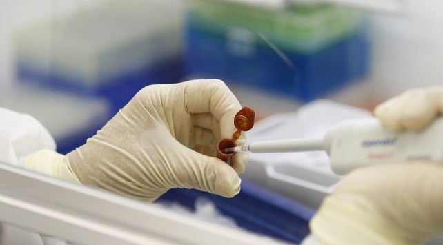 Tütünle mücadelede yeni yol haritası belirlendi