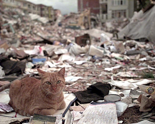 Marmara Depremi sonrası 730 bin bina denetlendi