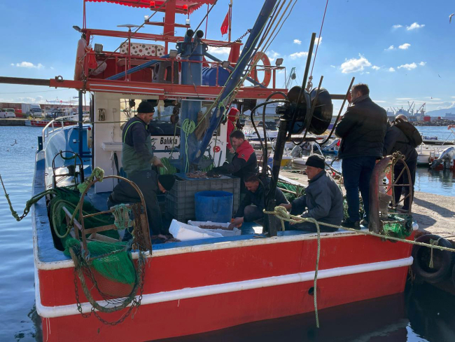 Tekirdağ'da karides bolluğu
