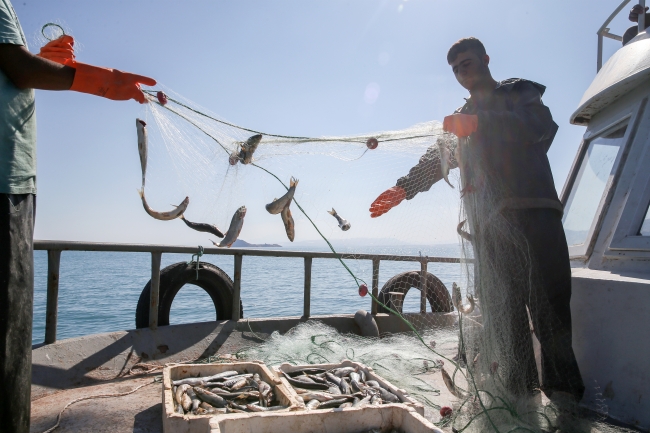Van Gölü'ndeki balıkçılar "vira bismillah" dedi