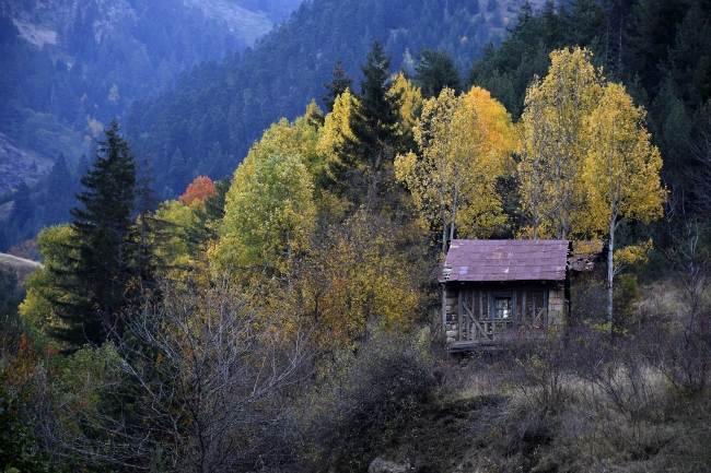 Eşsiz doğasıyla öne çıkan Gümüşhane'de sonbahar renkleri