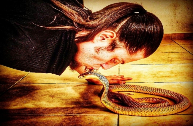 İllüzyonist Aref'i kobra yılanı ısırdı