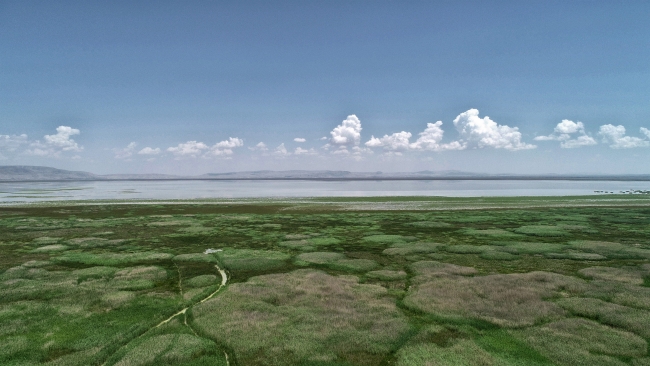 Yağışlar Akşehir Gölü'ne can suyu oldu