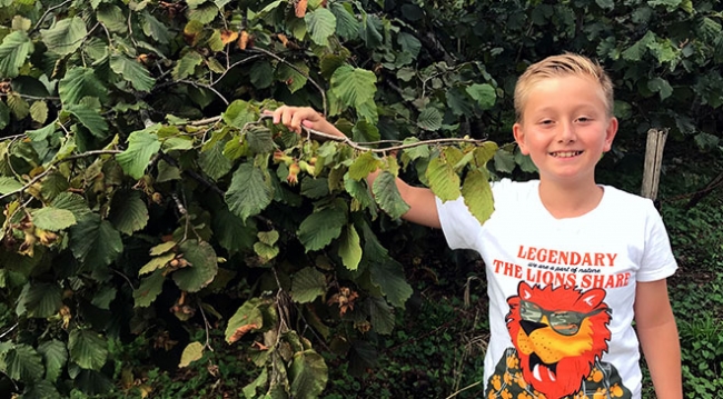 Fındık fiyatının erken açıklanması üreticiyi memnun etti