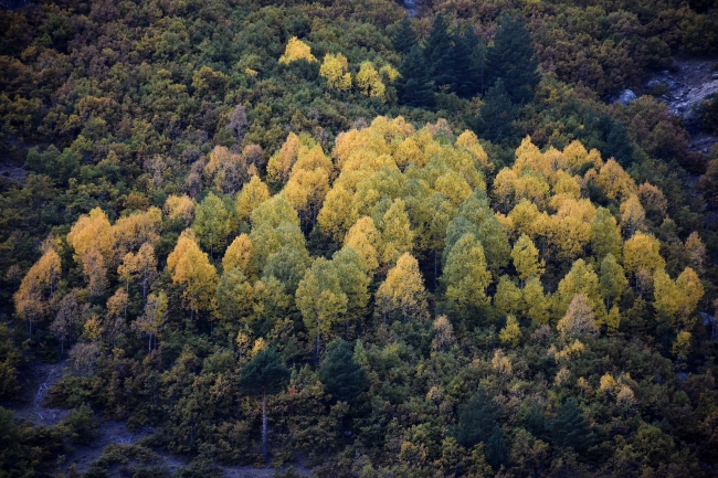 Eşsiz doğasıyla öne çıkan Gümüşhane'de sonbahar renkleri