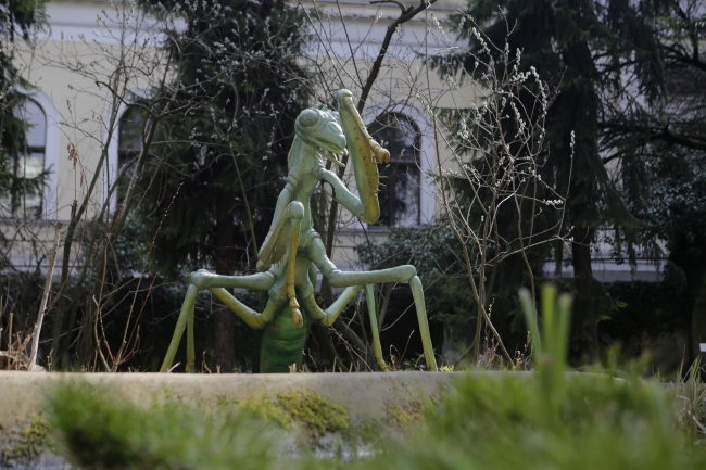 Nesli tükenen hayvanları, heykelleriyle yaşatıyor