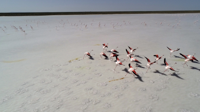 Tuz Gölü pembe renge büründü