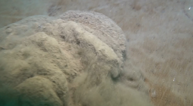 Marmara Denizi'nde inceleme: Müsilaj bitmedi, denizin dibini örttü