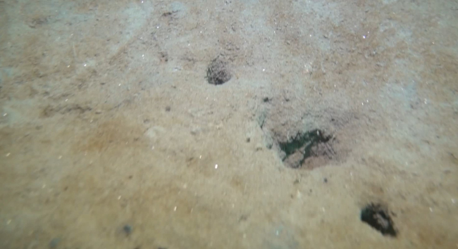 Marmara Denizi'nde inceleme: Müsilaj bitmedi, denizin dibini örttü