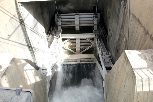 Harran Ovası suya kavuştu