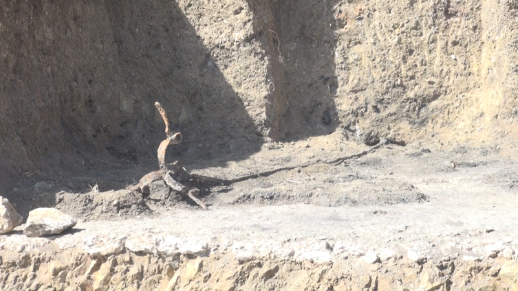 Satala Antik Kenti’nde yeni bir kale kalıntısına ulaşıldı