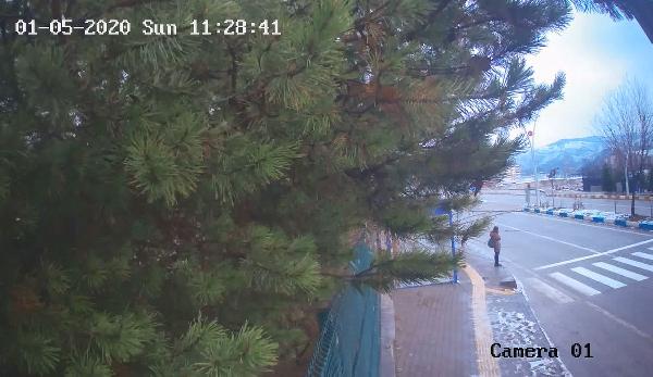 Gülistan Doku'nun yeni görüntüleri ortaya çıktı