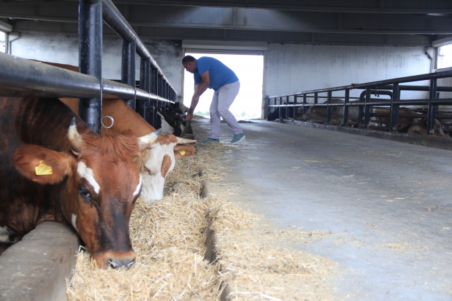 Devlet desteği ile iş kurup istihdam sağladılar