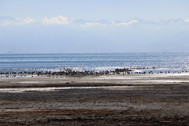 Van Gölü'nde 26 yılda 61 milyon metreküp su buhar oldu