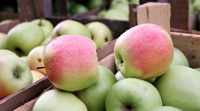 Türkiye yurt dışına en çok domates sattı