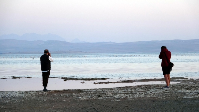 Van Gölü'ndeki kuşlar kuraklık nedeniyle göç etti