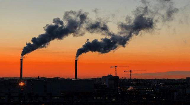 Kanadalı bilim insanları: Hava kirliliği meme kanseri riskini artırıyor