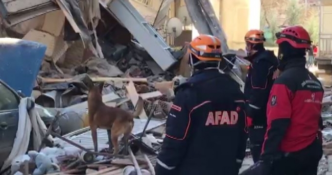 Depremin kahraman köpekleri