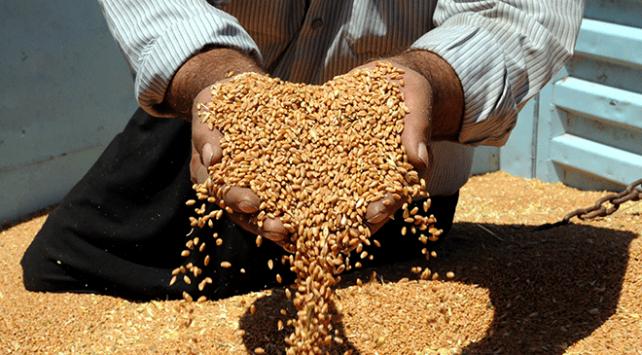 Bosna Hersek'ten ithal edilen tarım ürünlerinde tarife kontenjanları belirlendi