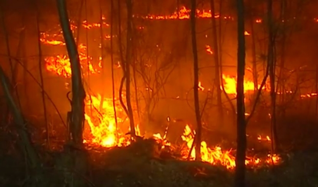 İtfaiyeciler Portekiz-İspanya sınırında çıkan yangını söndürmeye çalışıyor