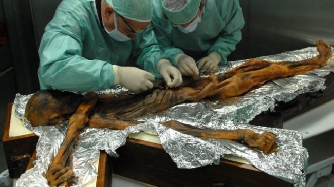 Buz adam Ötzi'nin son yemeğinde yüksek yağ tespit edildi