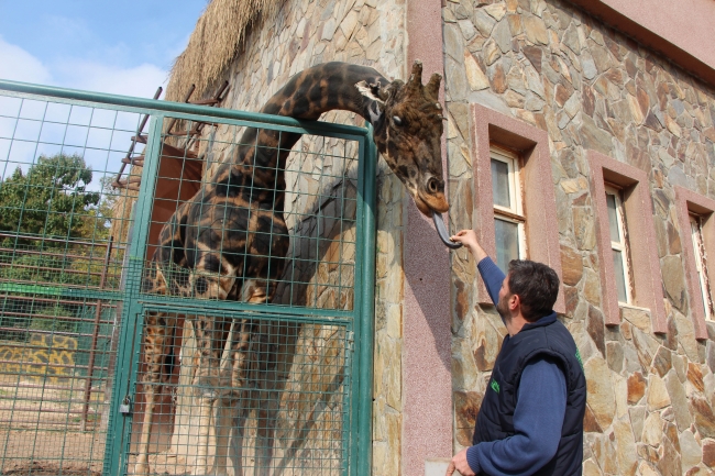Gaziantep Hayvanat Bahçesi'ni bu yıl 4 milyon kişi ziyaret etti