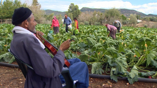 58 yıldır keman çalan Mehmet Nazlı'nın en büyük dostu kemanı