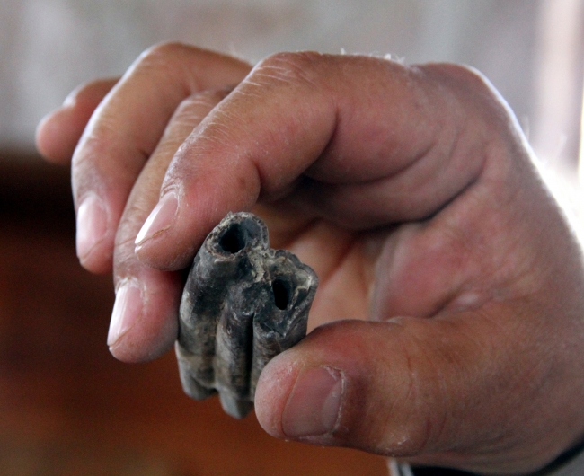 Samsun'da bulunan 2 milyon yıllık fosiller Şehir Müzesi'nde sergilenecek