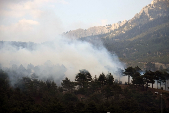 Adana'da orman yangını: 1 kişi yakalandı