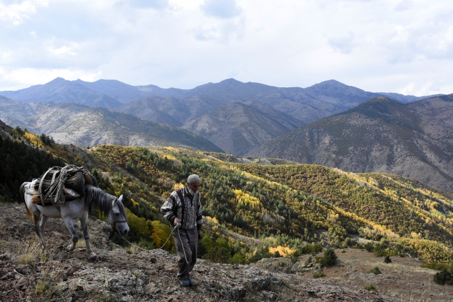 Eşsiz doğasıyla öne çıkan Gümüşhane'de sonbahar renkleri