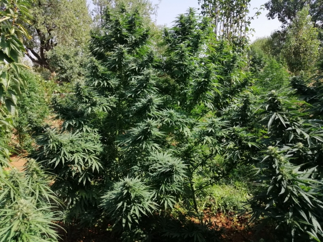 Diyarbakır'da terörün finans kaynağına darbe