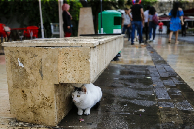 Antalya'da şiddetli yağış seralara zarar verdi