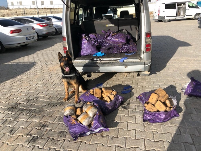 Van'da uyuşturucu operasyonu